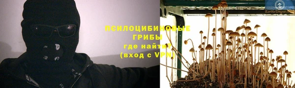 мяу мяу мука Алексин