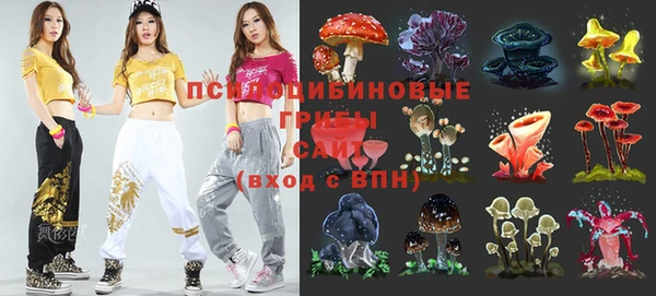 PSILOCYBIN Алексеевка