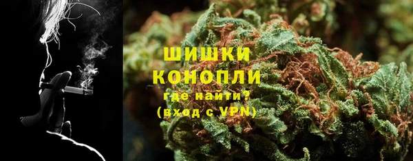 PSILOCYBIN Алексеевка
